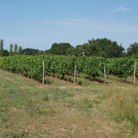ホテル Le Logis Du Livier Saint-Georges-sur-Layon エクステリア 写真